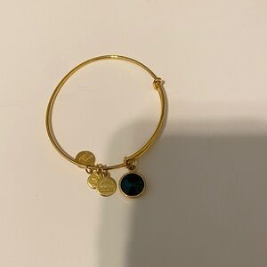 Gold Charm Bangle Bracelet- Alex and Ani